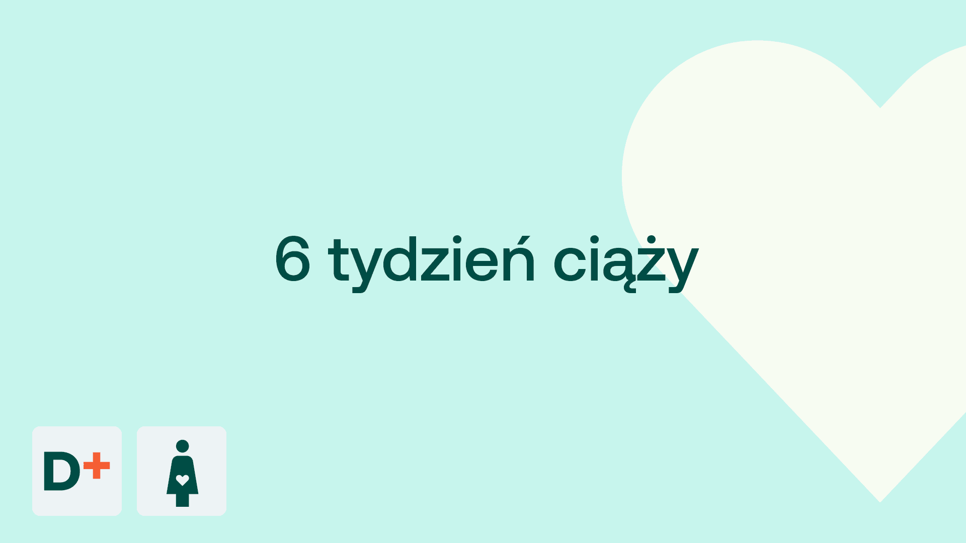 6 tydzień ciaży