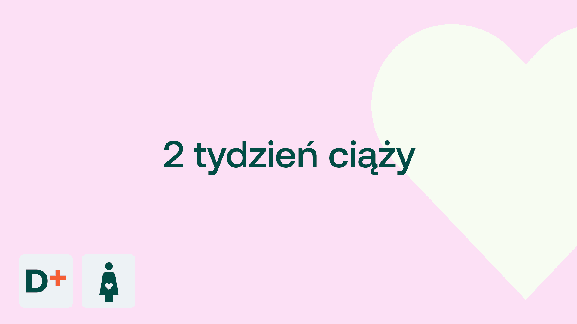 2 tydzień ciąży