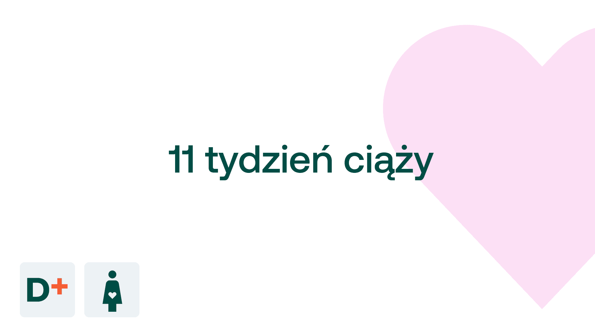 11 tydzień ciąży