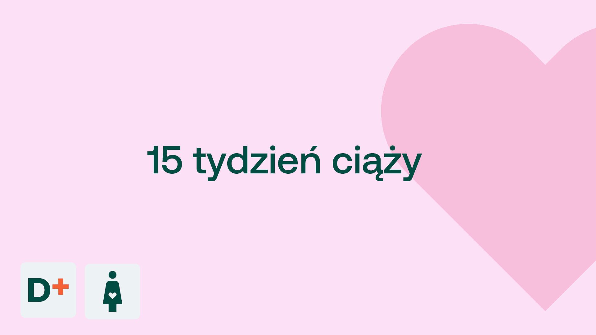 15 tydzień ciąży