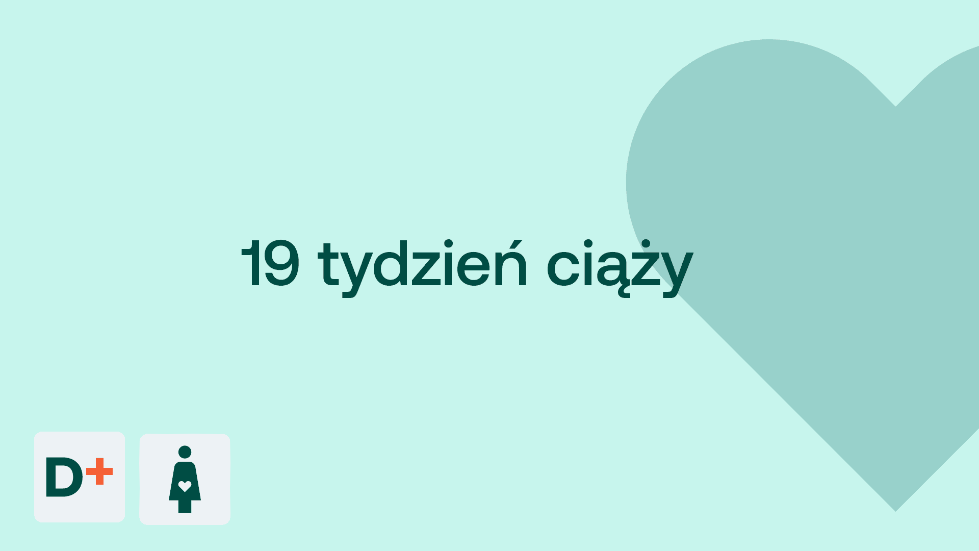 19 tydzień ciąży