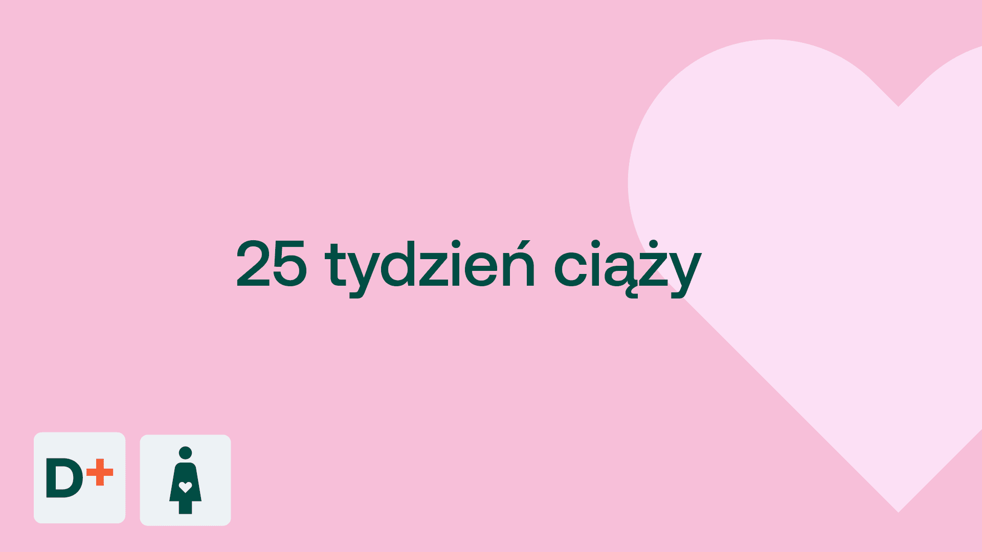 25 tydzień ciąży