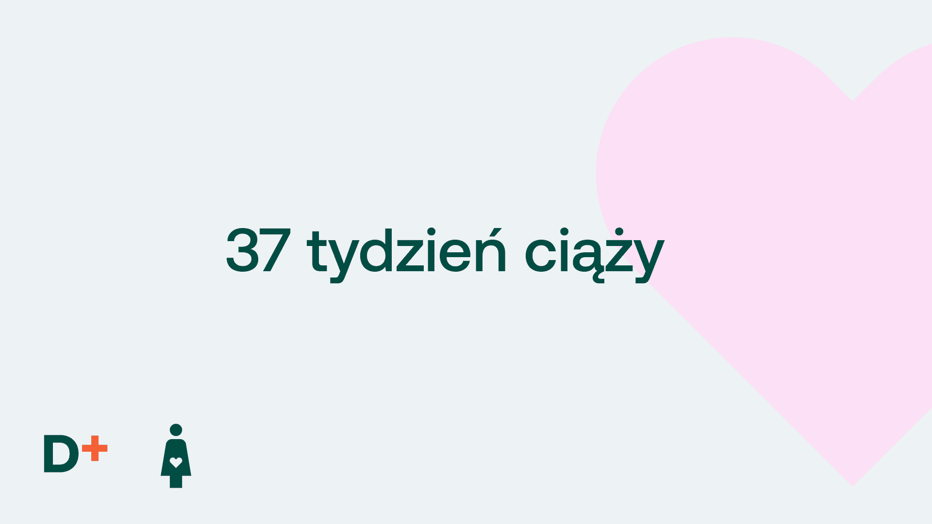 37 tydzień ciąży