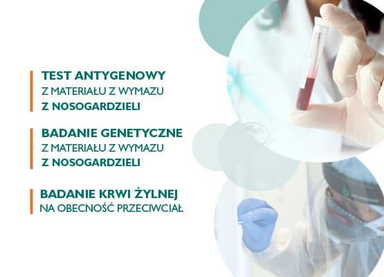 rodzaje badań koronawirus