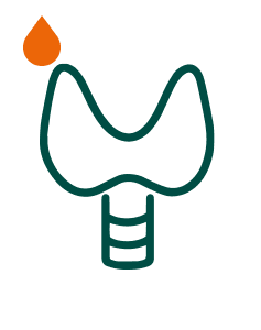 Pakiet Sprawdzam - Tarczyca (diagnostyka pogłębiona)