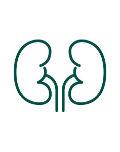 Pakiet Sprawdzam - Nerki