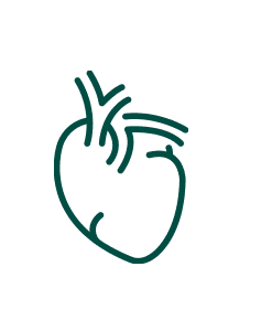 Pakiet Sprawdzam - Serce