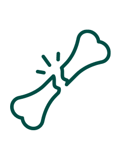 Pakiet Sprawdzam - Kości