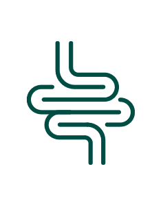 Pakiet Sprawdzam – Jelita