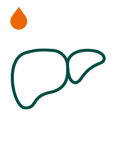 Pakiet Sprawdzam - Wątroba (diagnostyka pogłębiona)