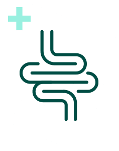 Pakiet Sprawdzam - Jelita Plus