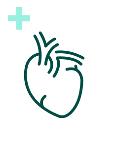 Pakiet Sprawdzam - Serce Plus