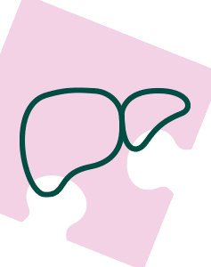 Pakiet Sprawdzam - Wątroba