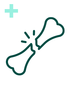 Pakiet Sprawdzam - Kości Plus