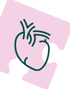 Pakiet Sprawdzam - Serce