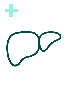 Pakiet Sprawdzam - Wątroba Plus