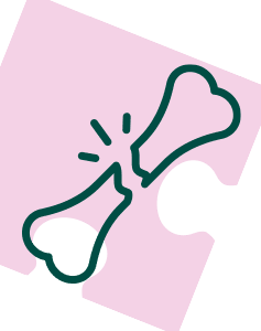 Pakiet Sprawdzam - Kości