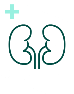 Pakiet Sprawdzam - Nerki Plus