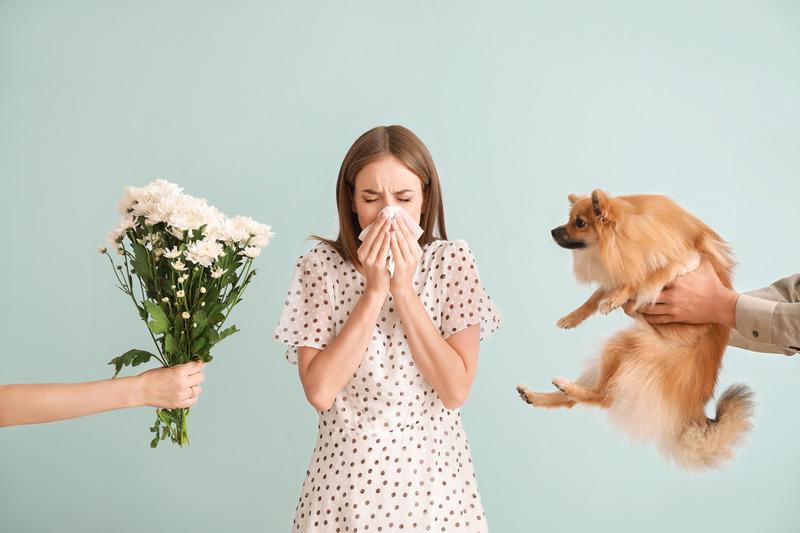 test alergiczny alex - przykładowe alergeny