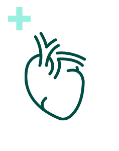 Pakiet Sprawdzam - Serce Plus