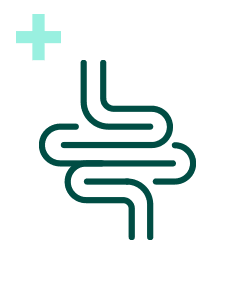 Pakiet Sprawdzam - Jelita Plus