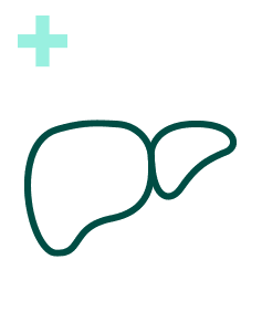 Pakiet Sprawdzam - Wątroba Plus