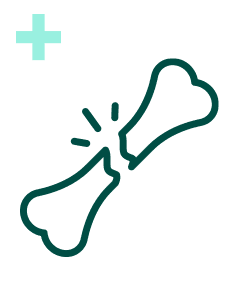 Pakiet Sprawdzam - Kości Plus