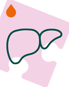 Pakiet Sprawdzam - Wątroba (diagnostyka pogłębiona)