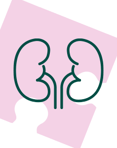 Pakiet Sprawdzam - Nerki